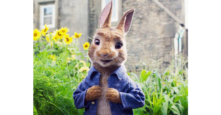 Sherborne Cinema in Gloucester enjoys busiest ever Easter holiday thanks to Peter Rabbit